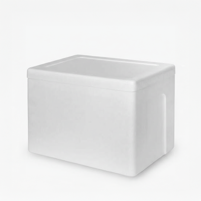 Styrofoam cooler Ice Box (1 unit)